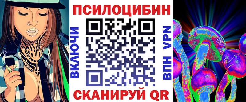 где можно купить   MEGA tor  Псилоцибиновые грибы ЛСД  Новый Уренгой 