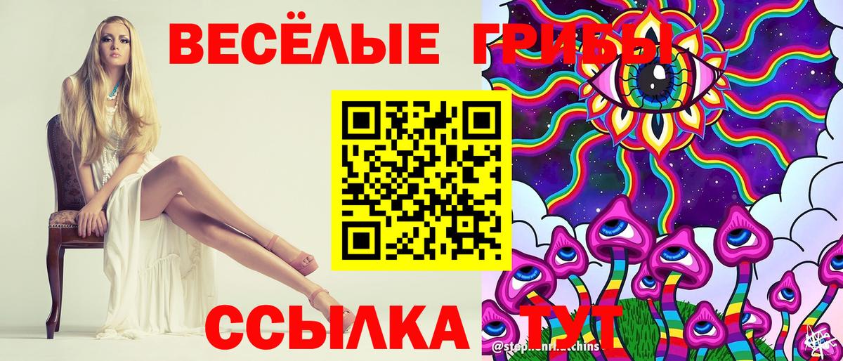 Галлюциногенные грибы GOLDEN TEACHER  наркотики  Новый Уренгой  Галлюциногенные грибы мицелий  Вход с VPN 