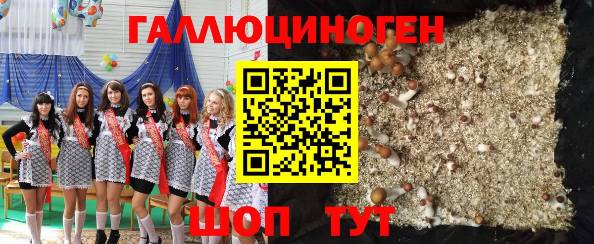 Галлюциногенные грибы Psilocybe Новый Уренгой